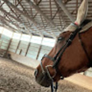 Meet your Posher, Isabella